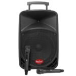 Baretone BT-3H1212BWR Speaker Portable